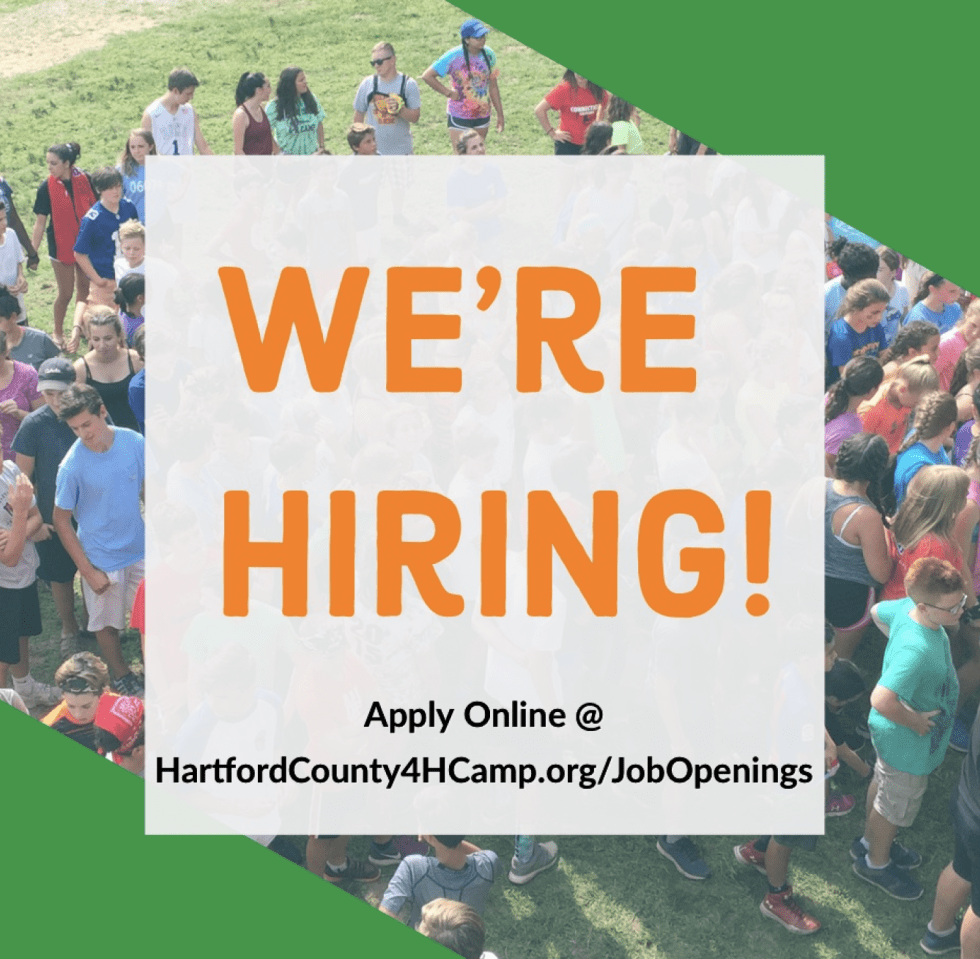 Job openings hartford county 4 h camp